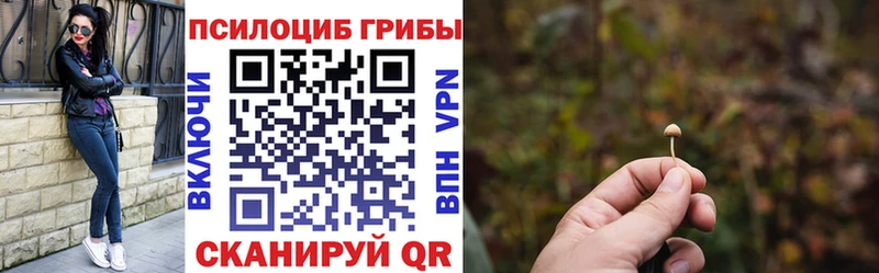 Псилоцибиновые грибы прущие грибы  даркнет телеграм  Советск 