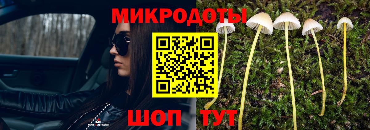 Псилоцибиновые грибы мухоморы  Вход с VPN  Советск 
